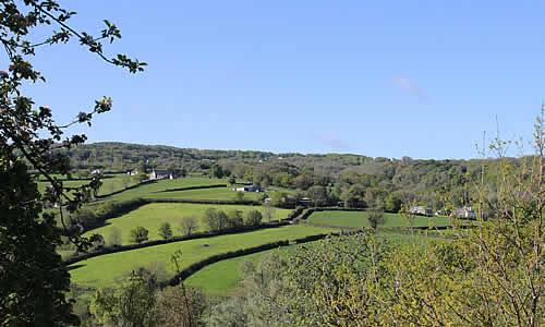 Panoramic views from The Count House over the lovely Tamar Valley